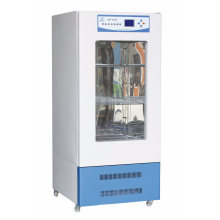 Buy Digital Laboratory Mold Incubator